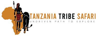 Tanzania Tribe Safari