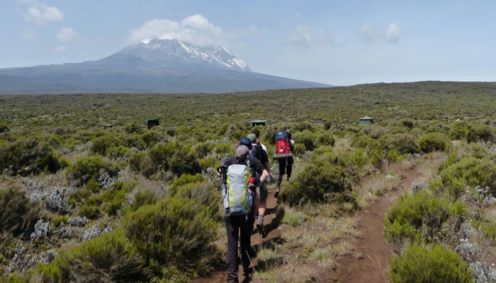 Kilimanjaro Alpine Desert Zone
