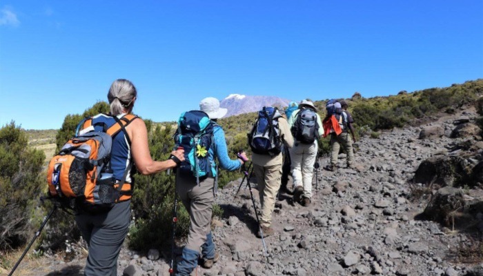 Conquering Kilimanjaro's Umbwe Route