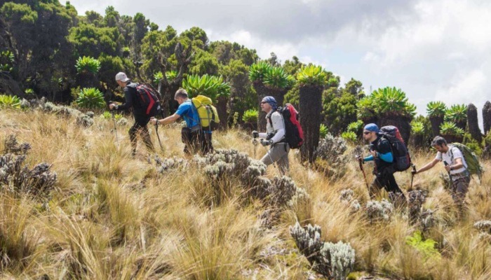  Kilimanjaro Trails Condition