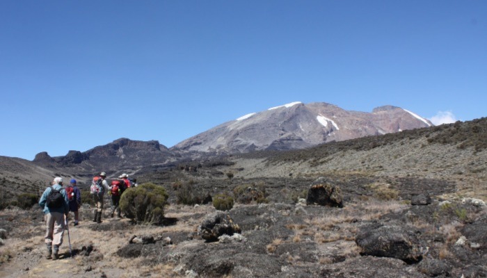 Rongai Route Kilimanjaro Fact