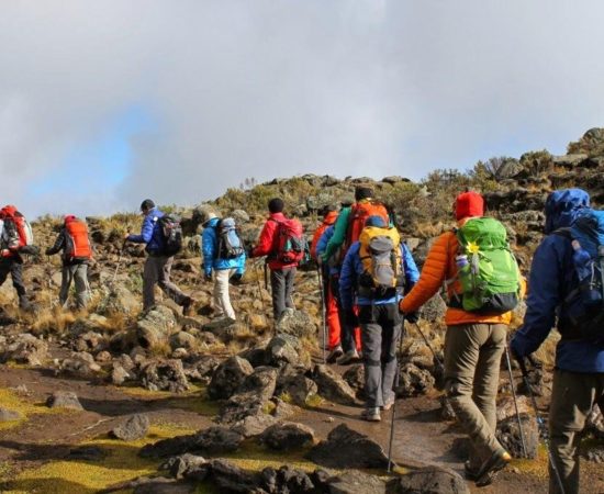 Kilimanjaro Trails Condition