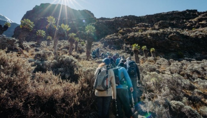 Changing Kilimanjaro Trails