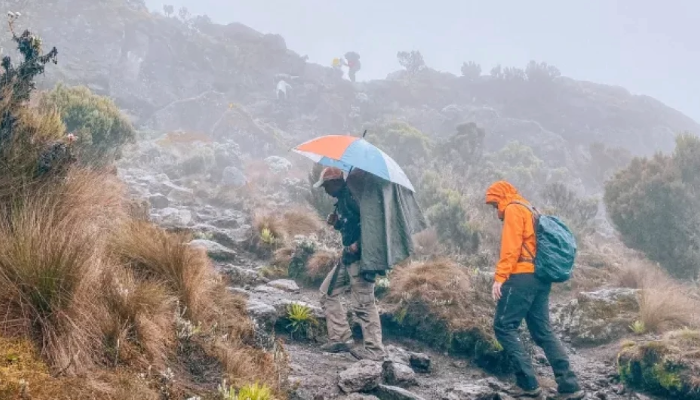 Climbing Kilimanjaro in Wet Seasons