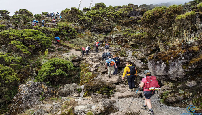 Kilimanjaro Climbing Route