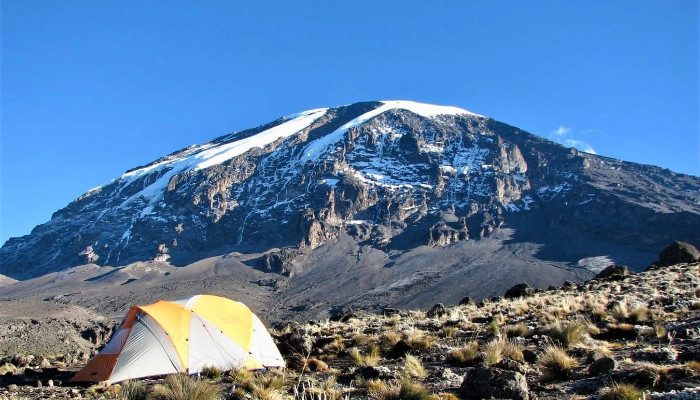 Best Kilimanjaro Tour Operator