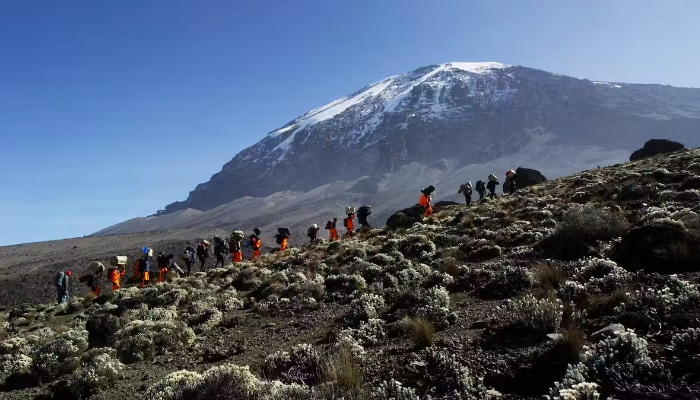 Best Month to Climb Kilimanjaro