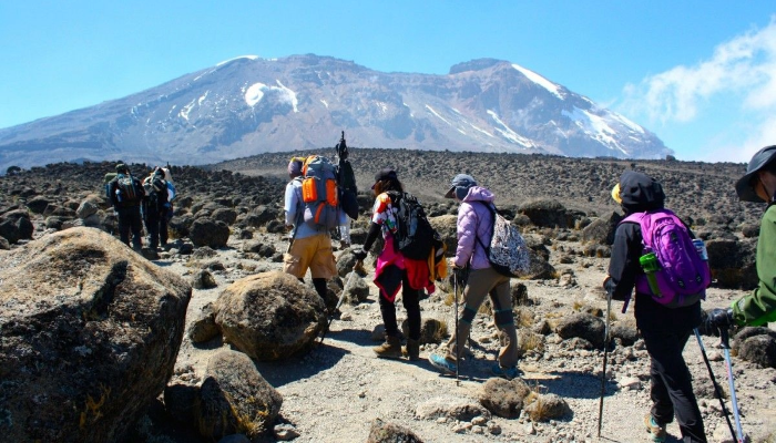 Group Kilimanjaro Climbing

