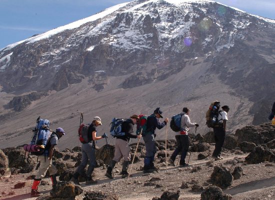 Kilimanjaro Tour Operator