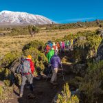 Mount Kilimanjaro Climbing