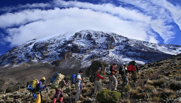 Mt Kilimanjaro Summit