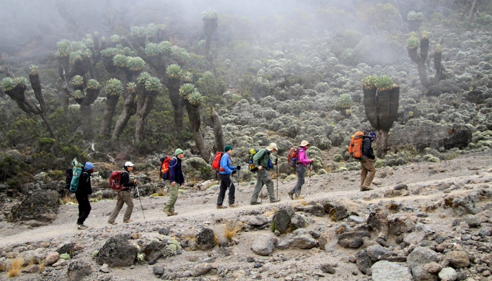 Rongai Route Kilimanjaro
