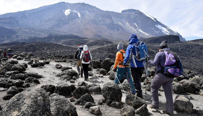 Kilimanjaro Rongai Route 