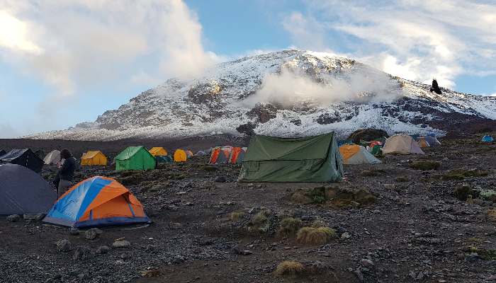 Kilimanjaro Camp Life

