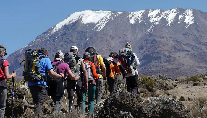 Kilimanjaro Climbing Tour