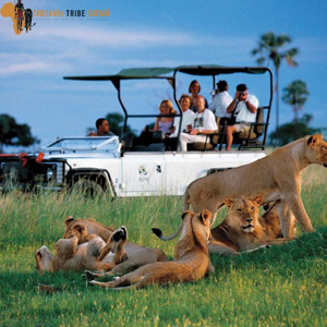 7 days Tanzania Northern Luxury Safari