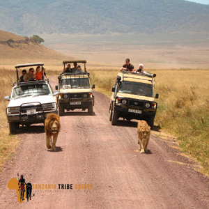 12 Days Best of Northern Tanzania Exploration