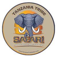 Tanzania Tribe Safari