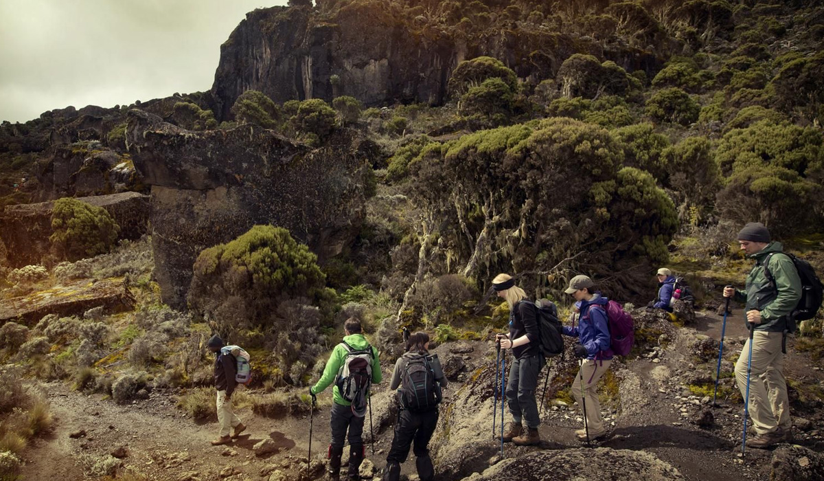 Daily Routine For Climbing Kilimanjaro