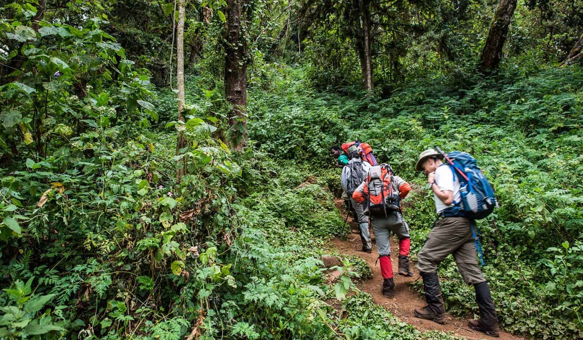 Kilimanjaro Trail Conditions