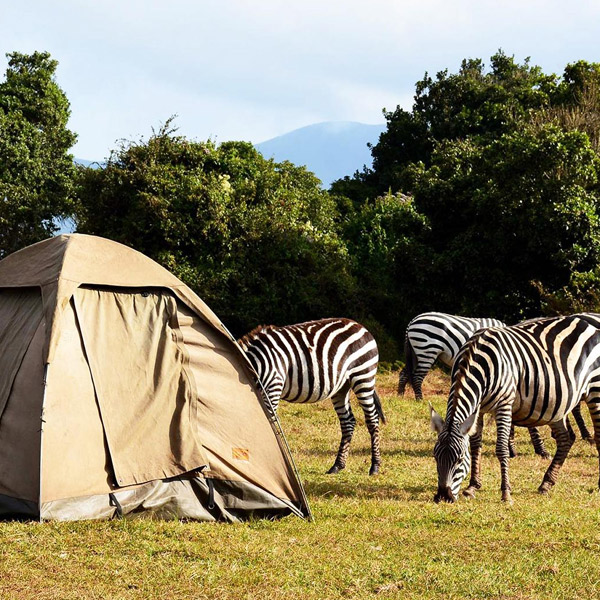 7 Days Tanzania Wildlife Camping Safari