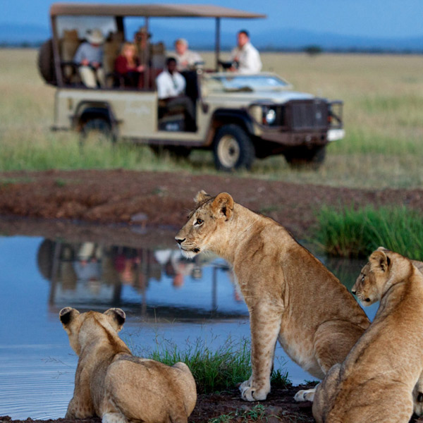 10 Days Luxury Wildlife Safari in Tanzania